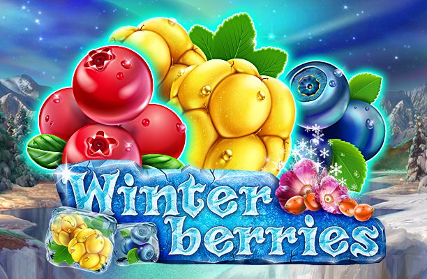 winterberries